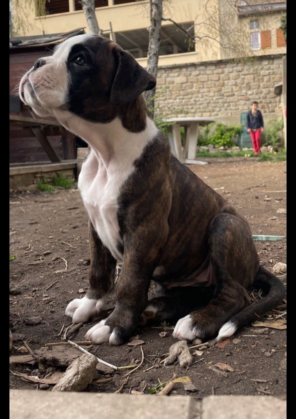 Portée "T" Jaya x Popeye